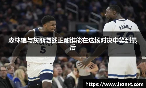 森林狼与灰熊激战正酣谁能在这场对决中笑到最后