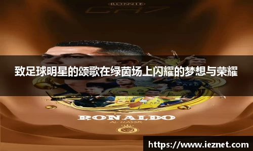 致足球明星的颂歌在绿茵场上闪耀的梦想与荣耀