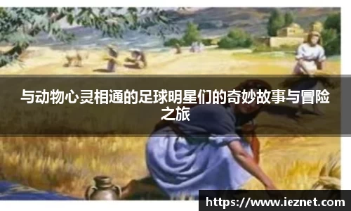 与动物心灵相通的足球明星们的奇妙故事与冒险之旅